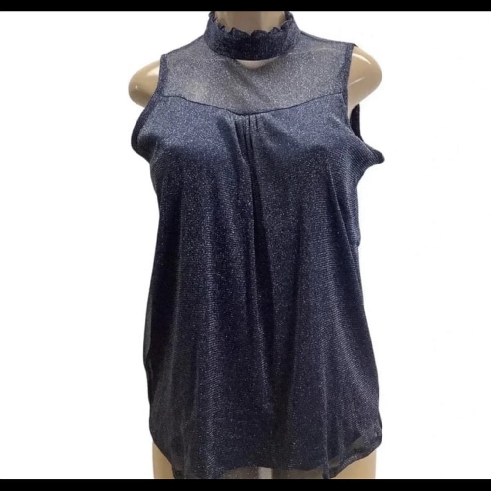 Luna Rae Blue Shimmery Sleeveless Blouse